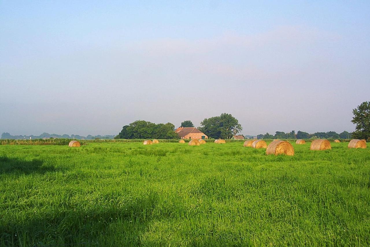 Ferienwohnungen Haus Westwind Bensersiel Exterior foto